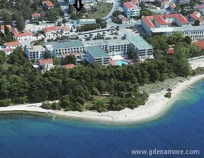 Dennis, Privatunterkunft im Ort Zadar, Kroatien - Amfora Apartman