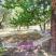 Bianca Villa Studios, private accommodation in city Possidi, Greece - bianca-villa-studios-possidi-kassandra-chalkidiki-