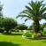 Trikorfo Beach Resort, privat innkvartering i sted Gerakini, Hellas - trikorfo-beach-resort-gerakini-sithonia-7