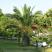 Ioanna Villa apartmanok, Magán szállás a községben Nikiti, G&ouml;r&ouml;gorsz&aacute;g - villa-ioanna-nikiti-sithonia-halkidiki-18