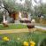 Karib-tengeri bungal&oacute;k, Magán szállás a községben Thassos, G&ouml;r&ouml;gorsz&aacute;g - karipis_bungalows_astris_9
