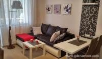 Apartments AMFORA - Apartment A2, private accommodation in city Igalo, Montenegro