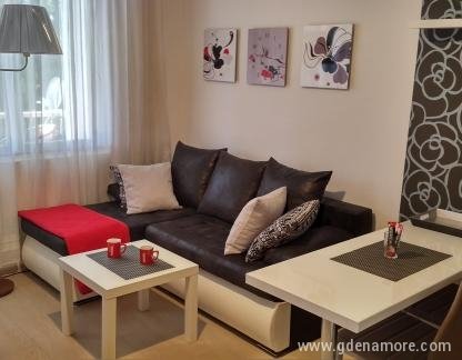 Appartamenti AMFORA - Appartamento A2, alloggi privati a Igalo, Montenegro - 02a