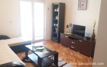 Apartment Dejan, private accommodation in city Budva, Montenegro