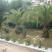 Aneton Hotel, Magán szállás a községben Thassos, G&ouml;r&ouml;gorsz&aacute;g - aneton-hotel-golden-beach-thassos-8