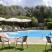 Dendrolivano Studios and Apartments, private accommodation in city Kefalonia, Greece - dendrolivano-studios-and-apartmens-minia-kefalonia