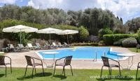 Dendrolivano Studios and Apartments, private accommodation in city Kefalonia, Greece