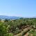 Stefanos Studios, privat innkvartering i sted Kefalonia, Hellas - stefanos-studios-svoronata-kefalonia-18