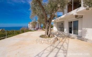 Apartman San, ενοικιαζόμενα δωμάτια στο μέρος Dobre Vode, Montenegro