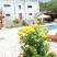 Vila Oaza Markovici, privatni smeštaj u mestu Budva, Crna Gora - IMG_0432