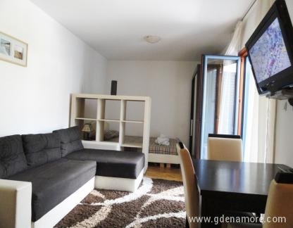 Budva Studio Beta, private accommodation in city Budva, Montenegro - m_DSC08665