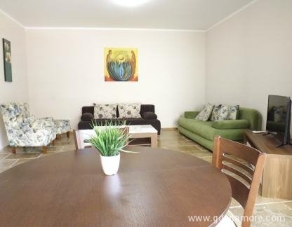 Mediterr&aacute;neo Apartamento de un dormitorio Franca, alojamiento privado en Budva, Montenegro - m_m_DSCF7368