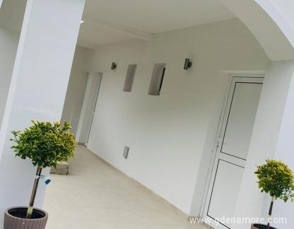 Apartmani Milasevic Canj, privatni smeštaj u mestu Čanj, Crna Gora - 60665092_466429470767643_1719642770026528768_n