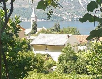 Dobrisa, Privatunterkunft im Ort Kotor, Montenegro - FB_IMG_1557737434637
