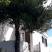 Apartmani Mijajlovic, privatni smeštaj u mestu Krimovica, Crna Gora - 20190530_101614