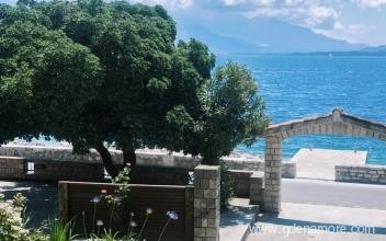 Apartment Olivera, private accommodation in city Bijela, Montenegro