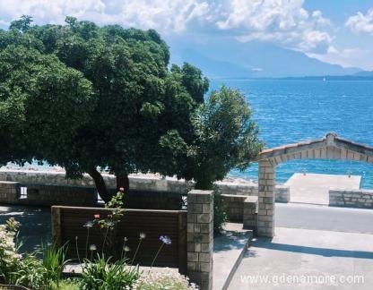 Apartment Olivera, private accommodation in city Bijela, Montenegro