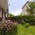 House Bulajic - FULL, private accommodation in city Jaz, Montenegro - Kuca Bulajic - Apartmani