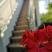 Sobe,Apartmani, privatni smeštaj u mestu Sutomore, Crna Gora - F91A5F8A-F472-4511-97AD-26C6EB1B51C9
