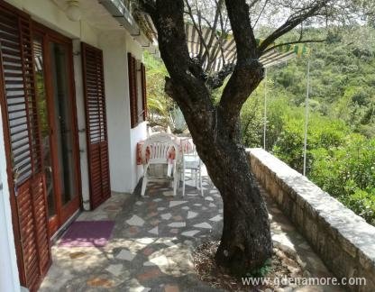 Studio, Privatunterkunft im Ort Zanjice, Montenegro - IMG-be62942dda815a91d24a01d547db0fa2-V