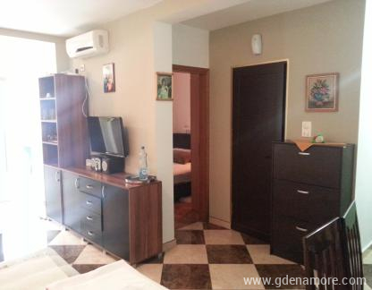 Oljčni nasad, zasebne nastanitve v mestu Rafailovići, Črna gora - Apartman Maslinjak