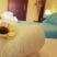 Anastasia Pansion, privatni smeštaj u mestu Ammouliani, Grčka - anastasia-pansion-ammouliani-athos-3-bed-room-8