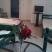 Katerina Studios, privatni smeštaj u mestu Svoronata, Grčka - katerina-studios-svoronata-kefalonia-7