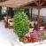 Markos Hotel, private accommodation in city Ierissos, Greece - markos-hotel-ierissos-athos-3