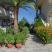 Sunrise Hotel, private accommodation in city Ammoiliani, Greece - sunrise-hotel-ammouliani-island-6