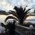 centro tur&iacute;stico del sol, alojamiento privado en Lassii, Grecia - sunshine-resort-lassi-kefalonia-34