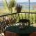 Thanos apartmanok, Magán szállás a községben Ierissos, G&ouml;r&ouml;gorsz&aacute;g - thanos-apartments-ierissos-athos-3