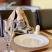 Aparthotel Casablanca, Privatunterkunft im Ort Sutomore, Montenegro - received_366801617241114