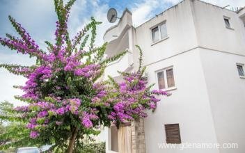 Guest house "Violet", privatni smeštaj u mestu Bečići, Crna Gora