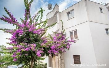 Affittacamere "Viola", alloggi privati a Bečići, Montenegro