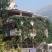 Smestaj-Ristic, private accommodation in city Dobre Vode, Montenegro - 97977487_2861492420566909_4330484880241590272_n