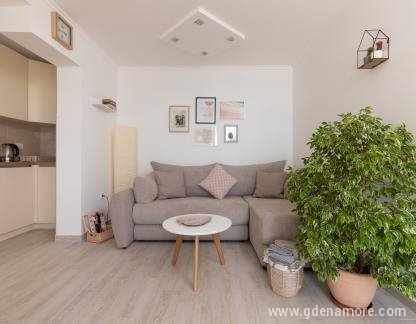 Apartments Stasha, private accommodation in city Bijela, Montenegro - NN5D0478