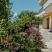 Palace Miljan and Ranko, private accommodation in city Igalo, Montenegro - 1S0A8818