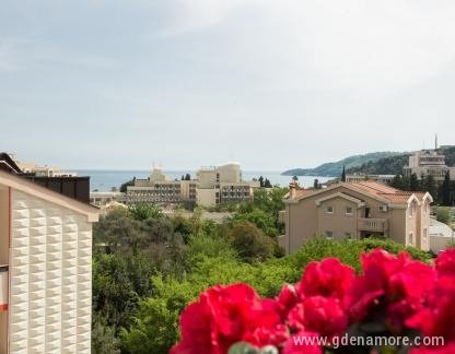 &Delta;&Iota;&Alpha;&Mu;&Epsilon;&Rho;&Iota;&Sigma;&Mu;&Alpha;&Tau;&Alpha; &Sigma;&Omicron;&Phi;&Iota;&Alpha;, ενοικιαζόμενα δωμάτια στο μέρος Bečići, Montenegro - DSC_8696