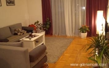 Apartman Lajla, privatni smeštaj u mestu Bar, Crna Gora