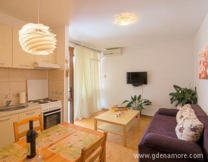 Wohnung Srdanović, Privatunterkunft im Ort Budva, Montenegro - I64A8295