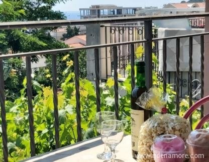 Appartements &agrave; Mikulic, logement privé à Petrovac, Mont&eacute;n&eacute;gro - IMG-0787bb5cf8dcf5a5d45378fdb884c9a9-V