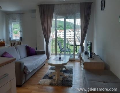 Апартамент Павле, частни квартири в града Bijela, Черна Гора - IMG-39dfa9f9f624ec815b7a21bdb377c6d8-V