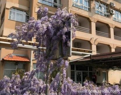 &Xi;&epsilon;&nu;ώ&nu;&alpha;&sigmaf; Villa Gaga, ενοικιαζόμενα δωμάτια στο μέρος Rafailovići, Montenegro - Screenshot_20210618_175832