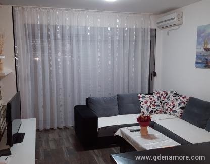 Appartements à Dragan, , logement privé à Budva, Monténégro - 20161228_141421