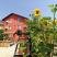 Слънчогледите, частни квартири в града Pomorie, България - IMG_20210805_121104