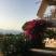 Galini Studios, private accommodation in city Lassii, Greece - galini-studios-lassi-kefalonia-10