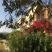 Galini Studios, private accommodation in city Lassii, Greece - galini-studios-lassi-kefalonia-7