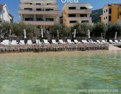 Olea, Magán szállás a községben Tivat, Montenegr&oacute; - Olea