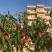 Едем, частни квартири в града Utjeha, Черна Гора - viber_image_2022-02-04_14-27-24-857
