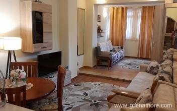 Apartment M&M Savina, private accommodation in city Herceg Novi, Montenegro